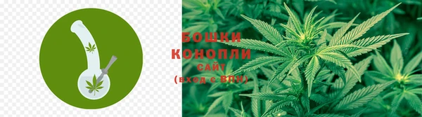 трава Алзамай