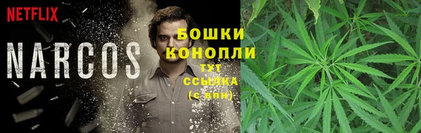 ешки Алексин