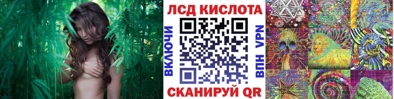 Марки N-bome 1,8мг  Злынка 