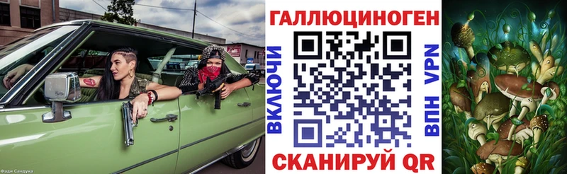 Галлюциногенные грибы Psilocybe купить наркотик Злынка