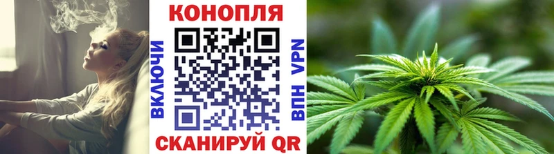 Бошки Шишки индика Злынка